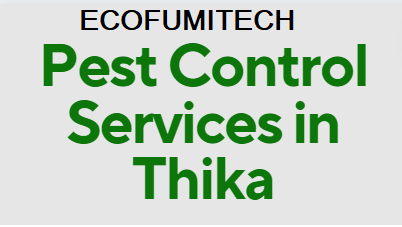 fumigation service cost in Thika, fumigation cost in Thika, fumigation prices in Thika, fumigation price in nairobi, pest control charges in Thika, pest control cost in Thika, bees control services in Thika, bed bugs control services in Thika, termite control services in Thika, cockroach control services in Thika, pest control cost in Thika fumigation charge in mombasa, bees removal service near me Thika, bees removal service in Thika, bees removal service chemical, bees removal chemical, termite control pesticide Thika, termite control insecticide, best chemical for bed bugs in Thika, best insecticide for bed bugs in Thika, pest control services near me, bed bugs control services near me. pest control services in meru,fumigation services in Thika,pest control Thika, bed bugs in Thika, bed bugs in Thika town, fumigation of bed bugs in Thika, eliminating bed bugs in Thika, pest control in Thika town, we are the solution for fumigation services in Thika, we cover bed bugs, and snakes, Pest control companies in Thika, Best pest control services in Thika, Pest removal services in Thika, Professional pest control in Thika, Affordable pest control services in Thika, Residential pest control in Thika, Commercial pest control in Thika, Emergency pest control in Thika, Rodent control in Thika, Termite control in Thika, Bed bug treatment in Thika, Cockroach control in Thika, Flea and tick treatment in Thika, Mosquito control services in Thika, Integrated pest management in Thika, Eco-friendly pest control in Thika, Local pest control services Thika, Pest inspection services in Thika, Pest extermination in Thika, Pest prevention services in Thika, Ecofumitech pest control services in Nairobi Kenya